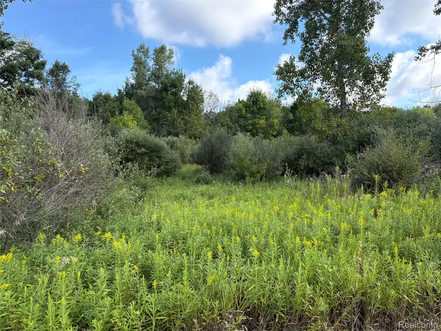 V/L Edwards Road N, Fostoria, MI 48435 - #2