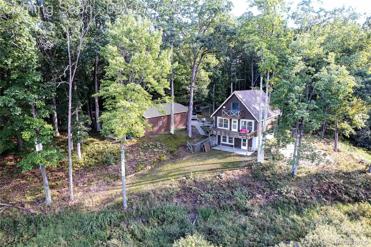 9154 W Ridge View Drive, Irons, MI 49644 - #1