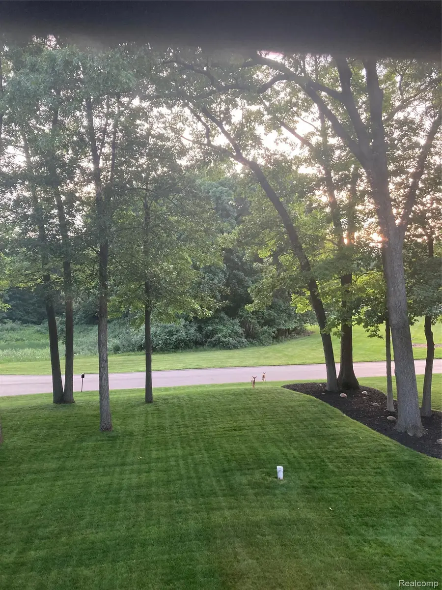 11246 Honeysuckle Court, Fenton, MI 48430 - #2