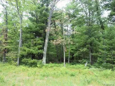 0000 E Website, Idlewild, MI 49642