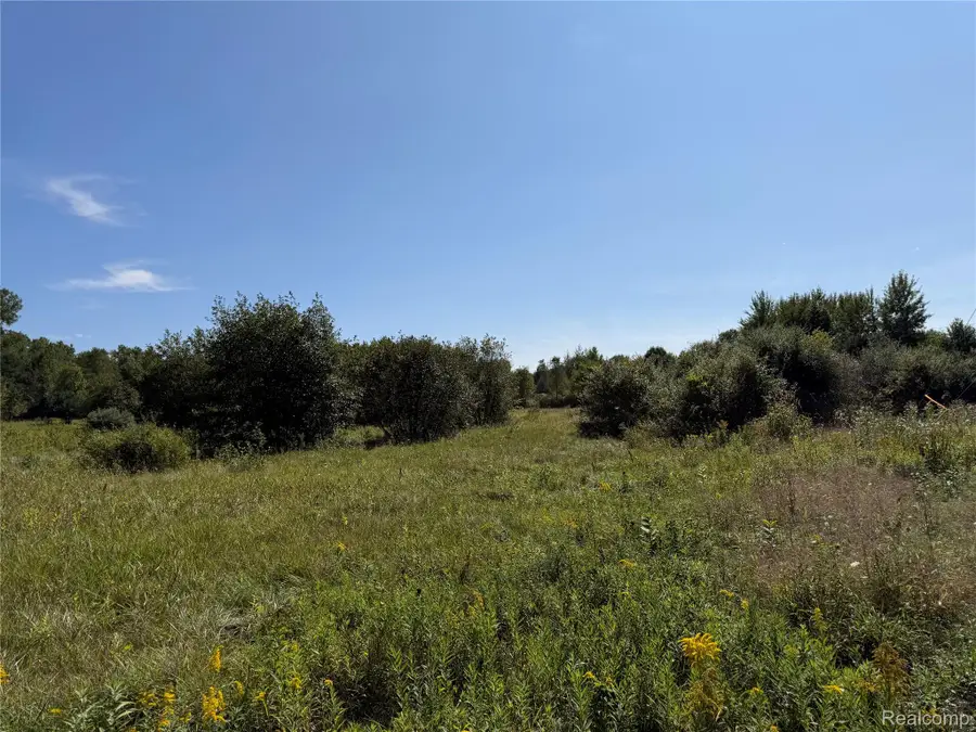625 W Main Street, Otisville, MI 48463 - #2