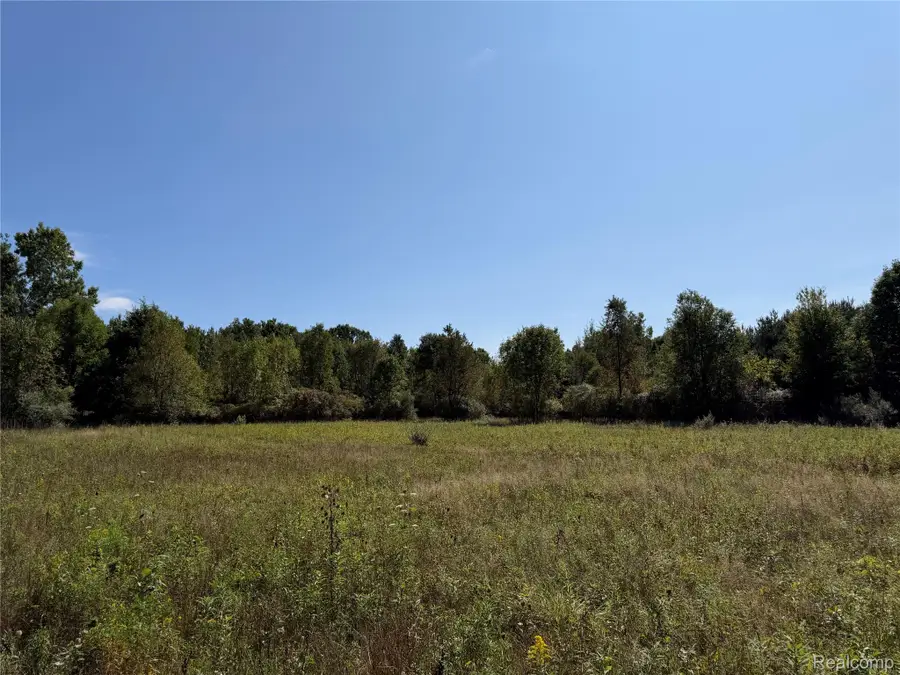 625 W Main Street, Otisville, MI 48463 - #3