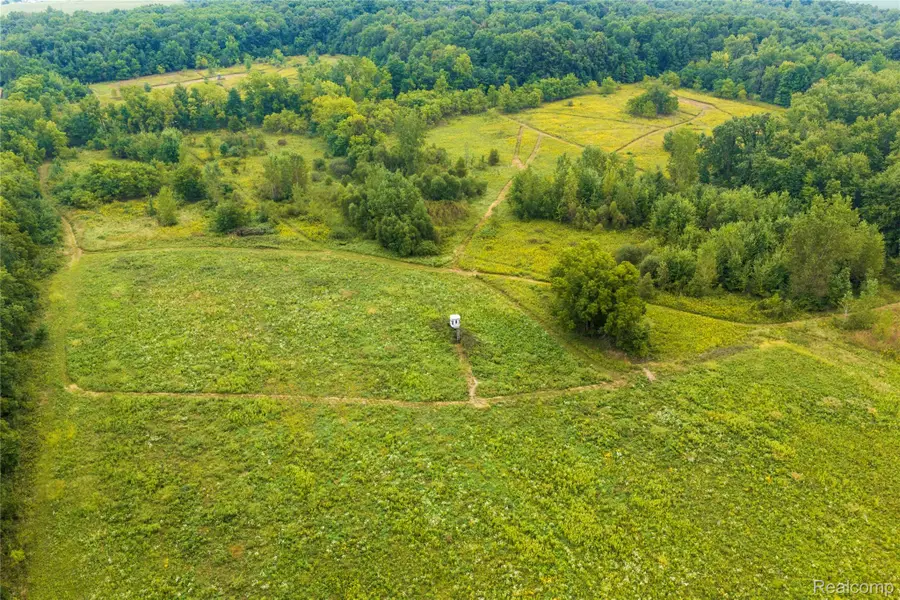 10582 Grover Road, Reading, MI 49274 - #3