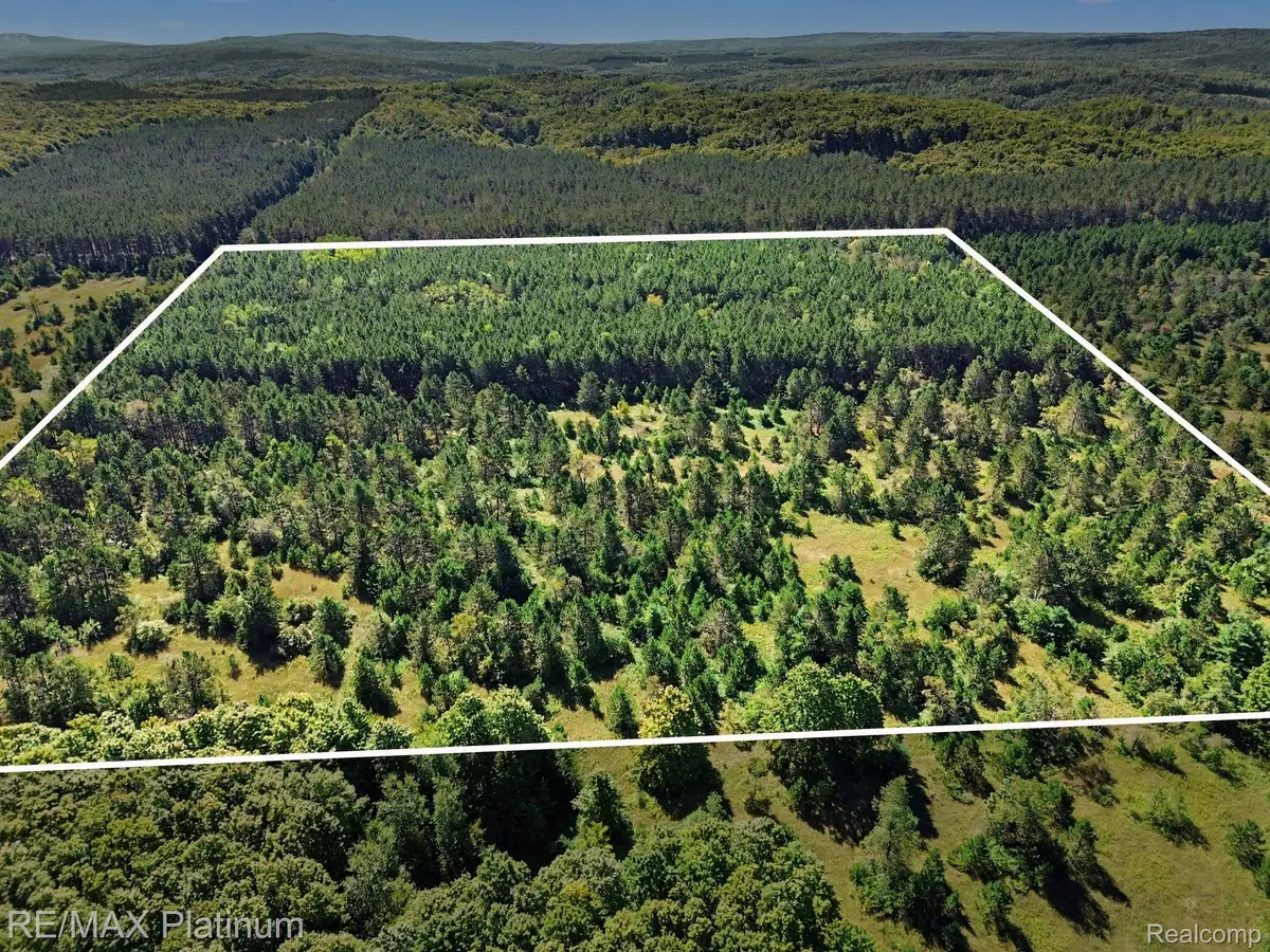 V/L Black Berry Trail, Pellston, MI 49769 - #1