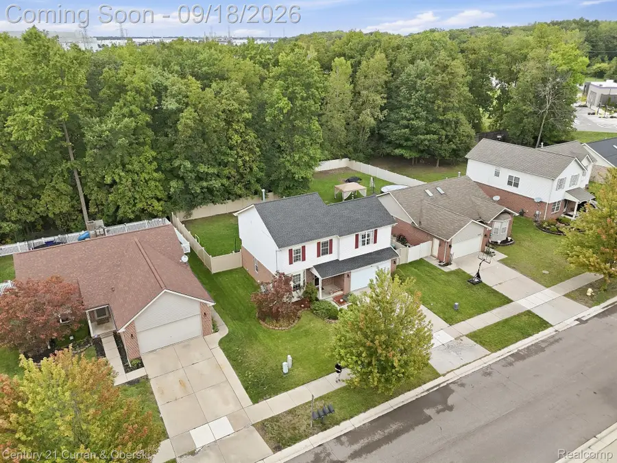 29250 Juniper Street, Brownstown, MI 48183 - #3