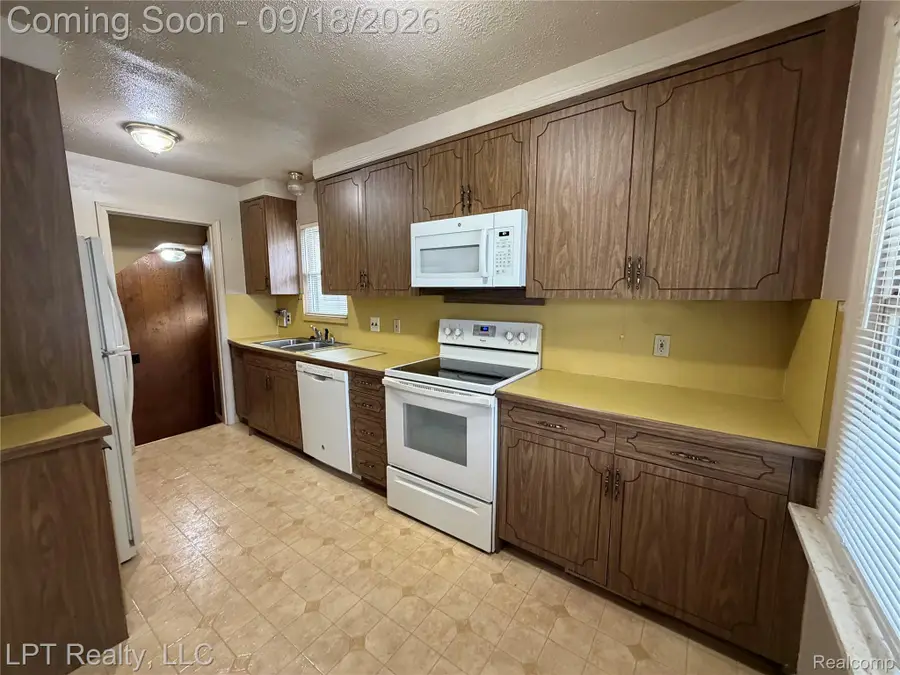 1601 11th Street, Wyandotte, MI 48192 - #3