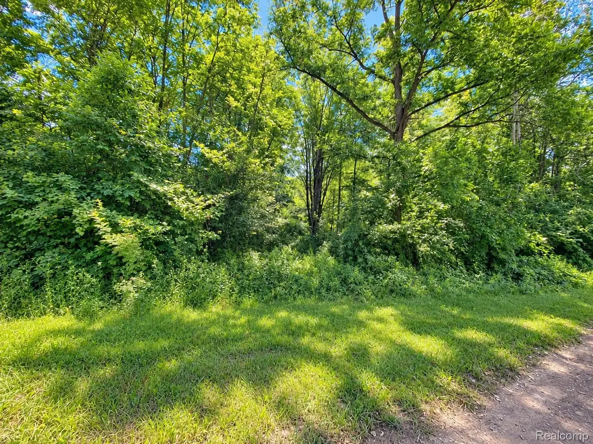 00000 Sherwood Road, Belleville, MI 48111 - #1