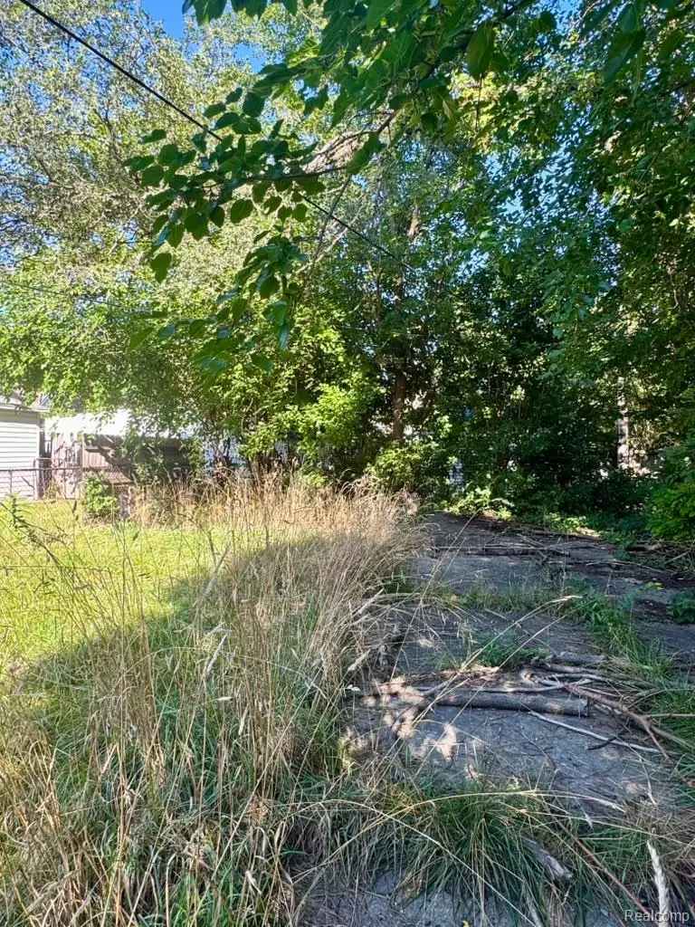18066 Hull Street, Detroit, MI 48203 - #3