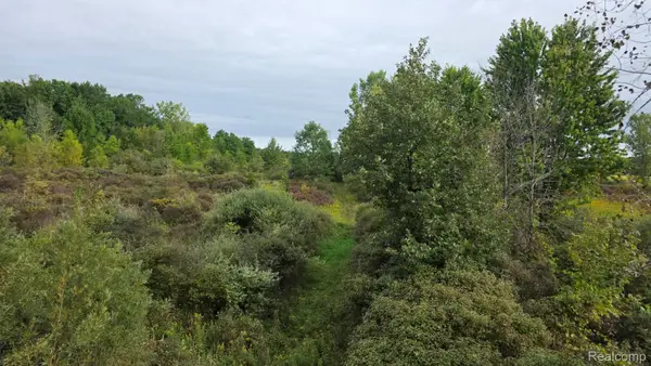 00 Barnes, NorthBranch, MI 48461