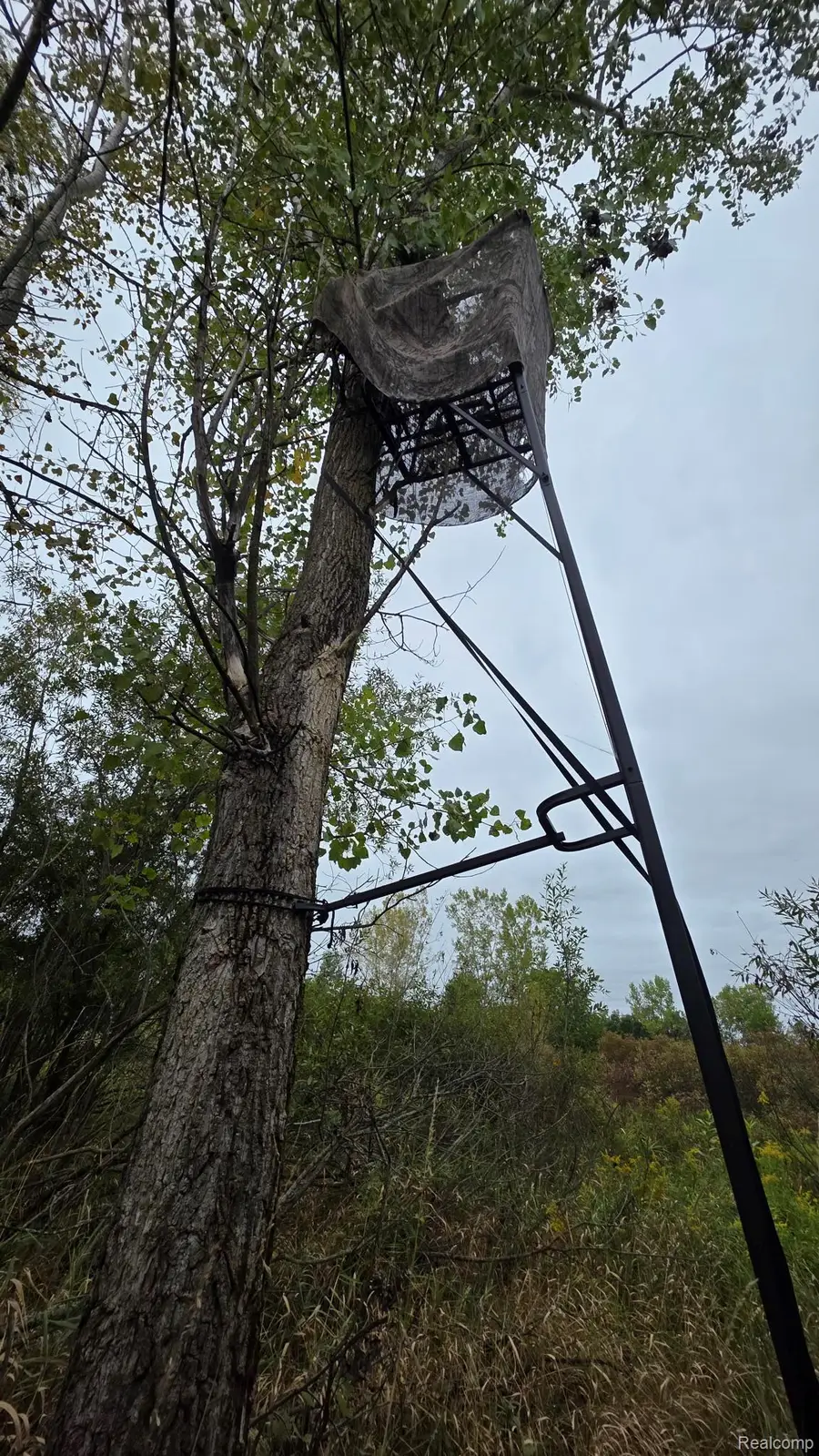 00 Barnes, Burlington, MI 48461 - #2