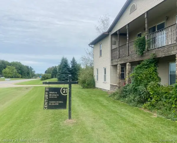 7584 N Sheridan Road, Edmore, MI 48829