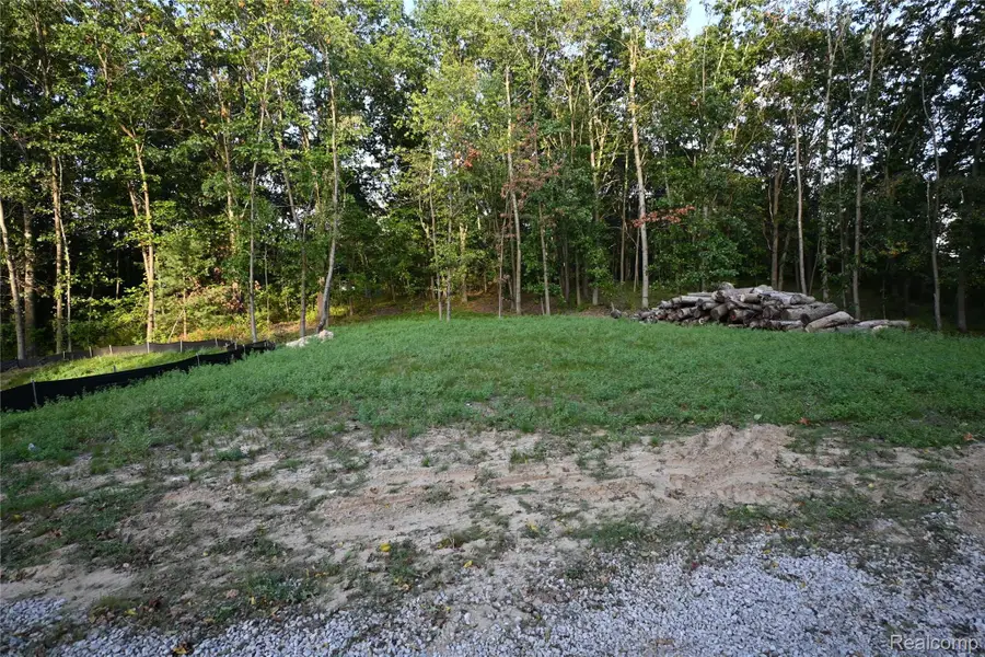 4273 Link Drive, Brighton, MI 48114 - #2