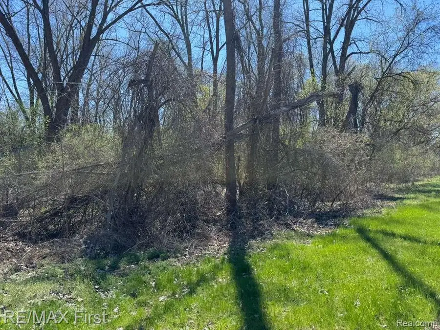 000 Cooley Lake, West Bloomfield, MI 48324 - #3