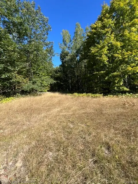 718 Worsh Rd, IndianRiver, MI 49749