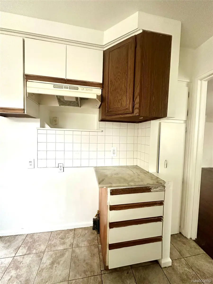 22450 Ray Street, Detroit, MI 48223 - #3
