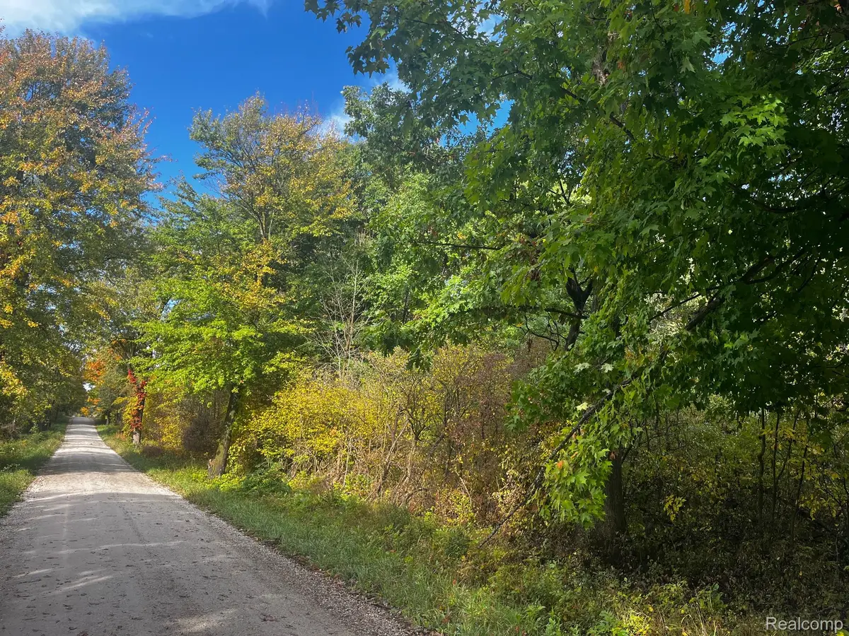 01 Nettney Road, Capac, MI 48014 - #1