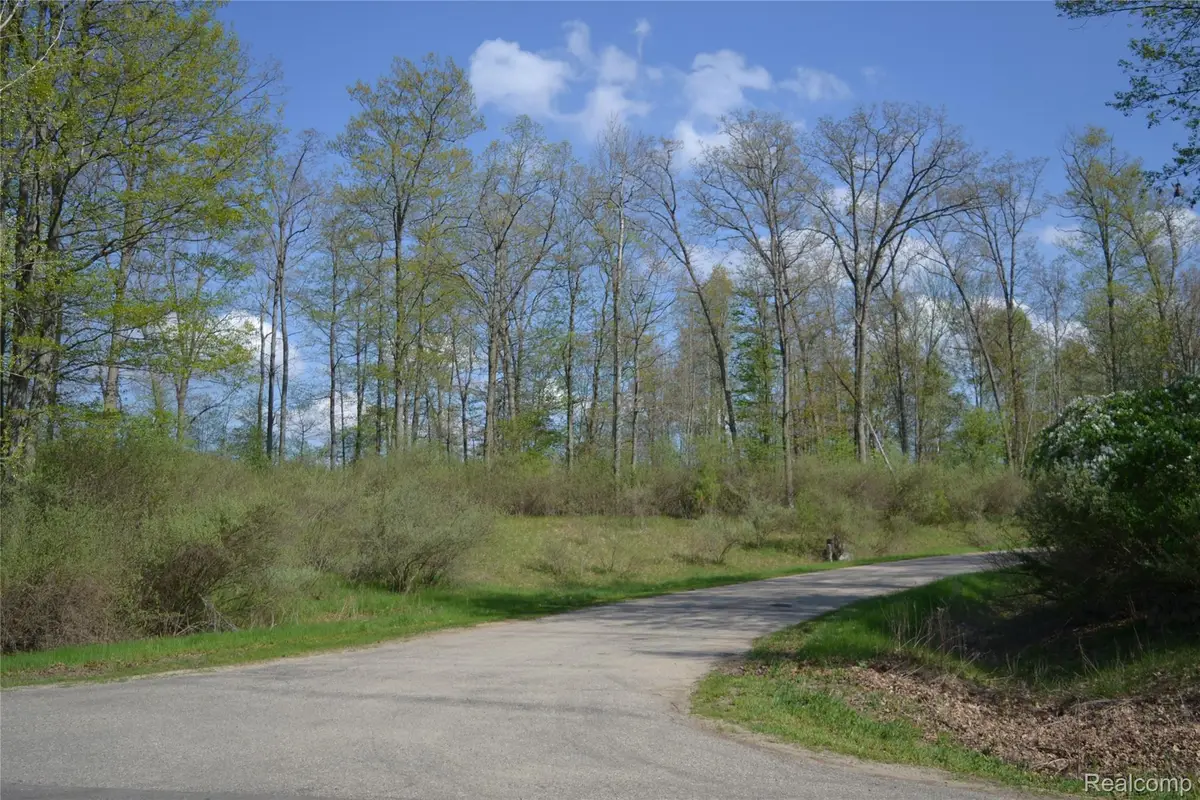LOT 13 Oak Ridge Court, Columbus, MI 48756 - #1