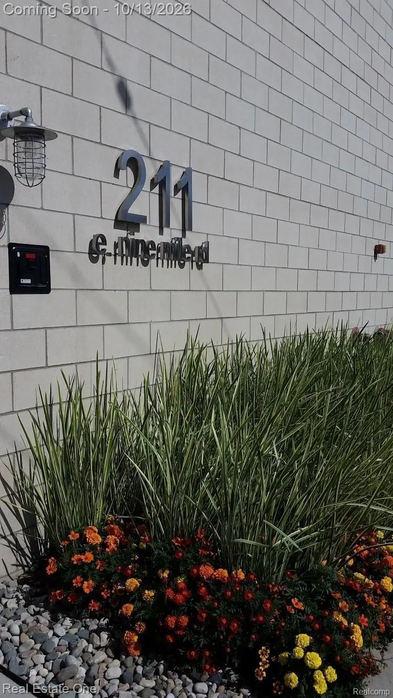 211 E 9 Mile Rd Road #204, Ferndale, MI 48220 - #2