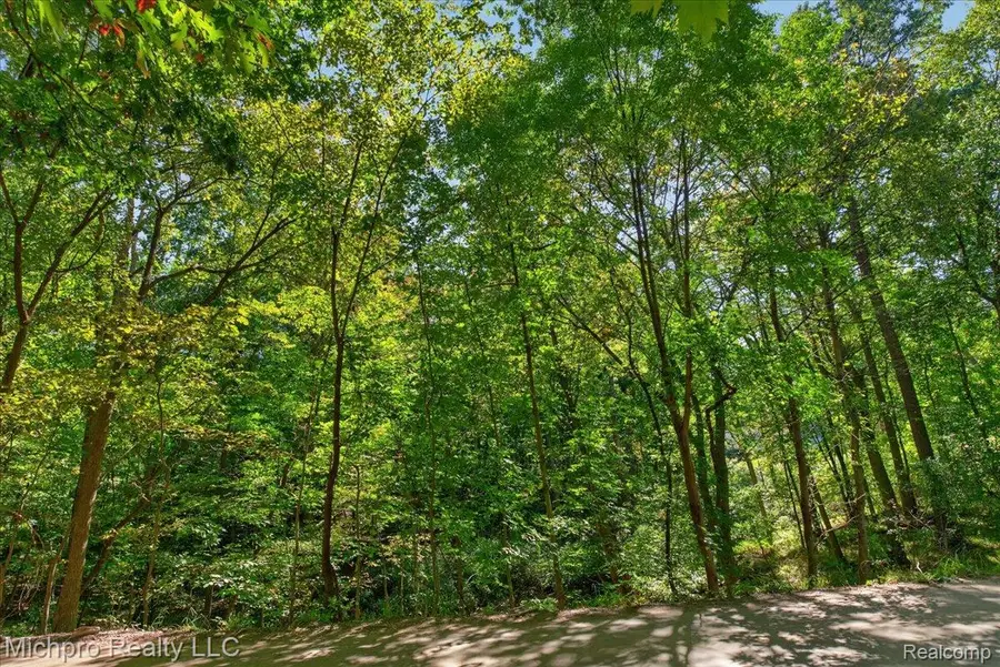2899 Indian Lake Road, Oxford, MI 48370 - #3