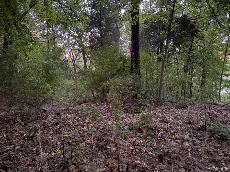vac Sandy Creek Drive, Green Oak, MI 48178 - #2