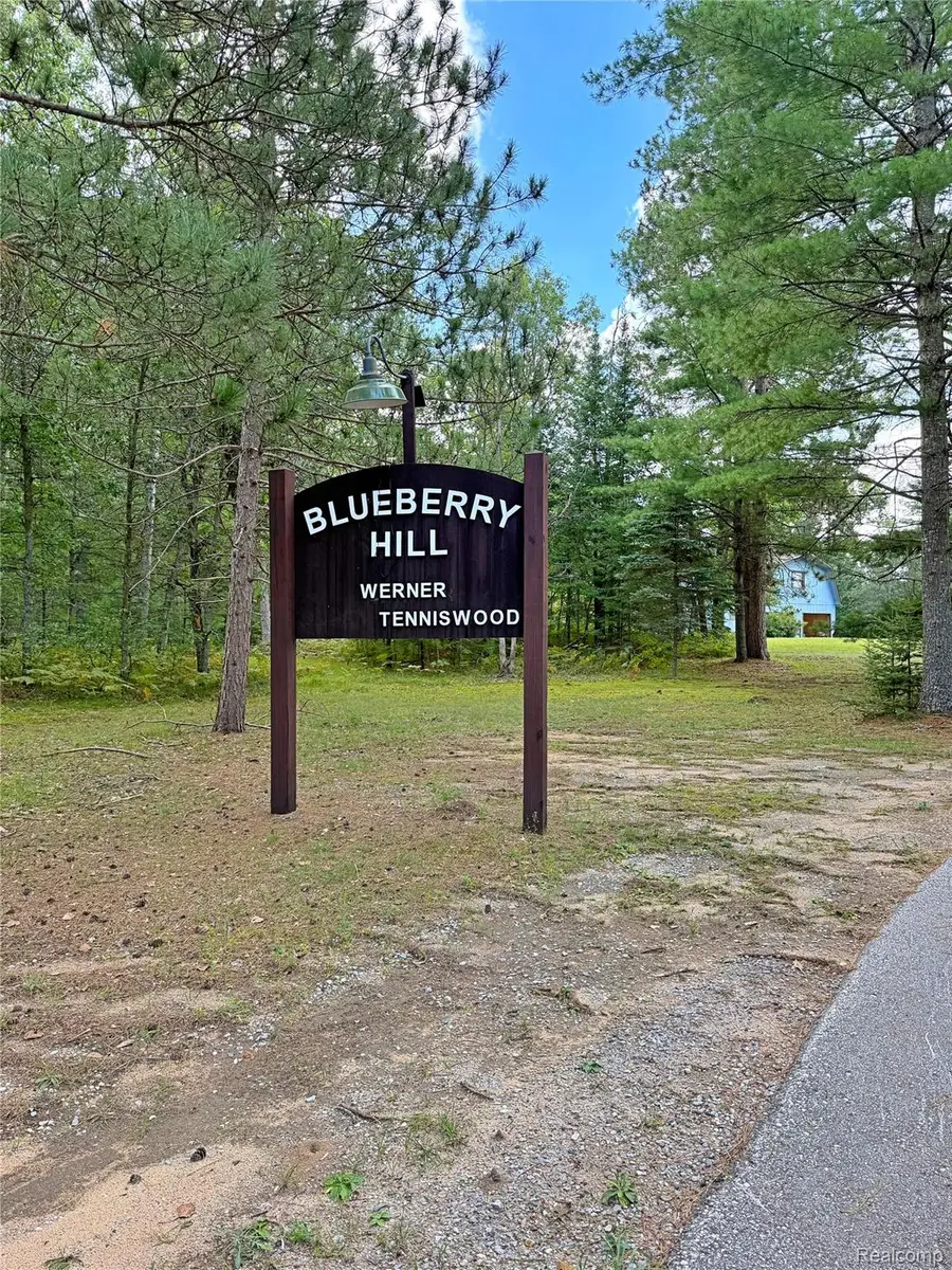 2199 Blueberry Hill Rd, Luzerne, MI 48636 - #3