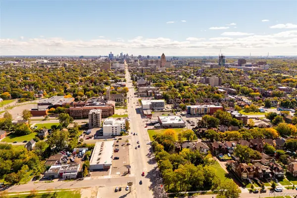 9155 Woodward AVE, Detroit, MI 48202