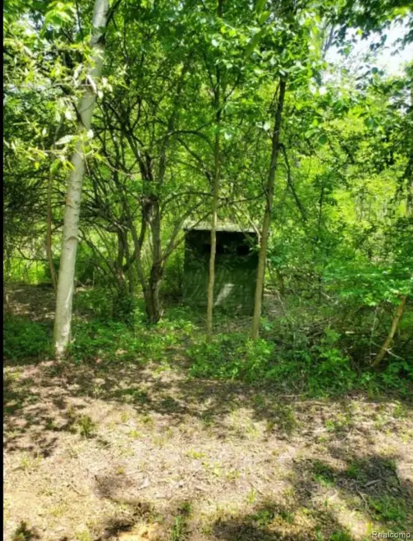 0000 Clothier RD, Kingston, MI 48741