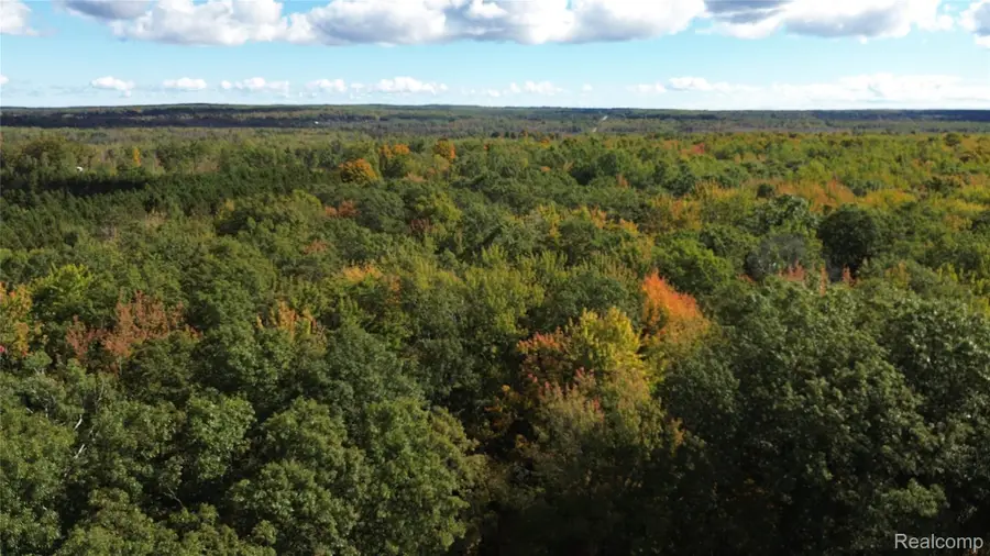 1540 Sucker Creek RD, Lincoln, MI 48742 - #2