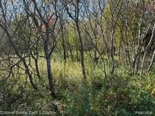 VL Cedar RD, Fowlerville, MI 48836 - #3