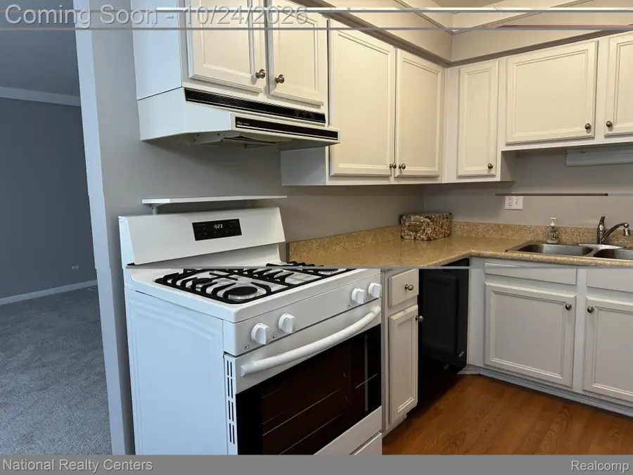 49910 Helfer BLVD 77, Wixom, MI 48393 - #2