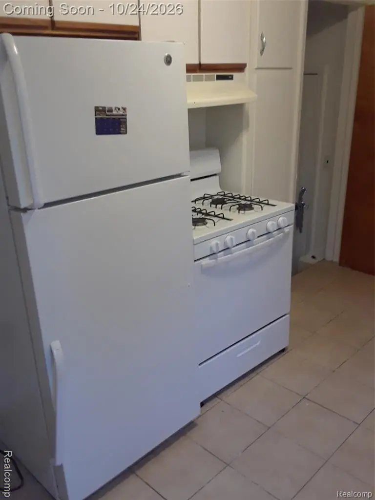 11747 W Outer DR, Detroit, MI 48223 - #3