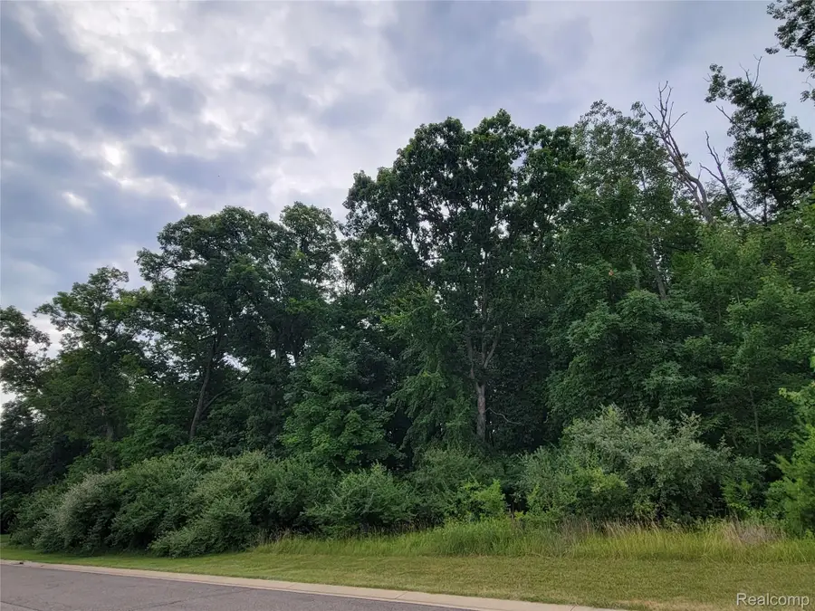 Lot 14 - 5972 Wyndam LN, Brighton, MI 48116 - #2