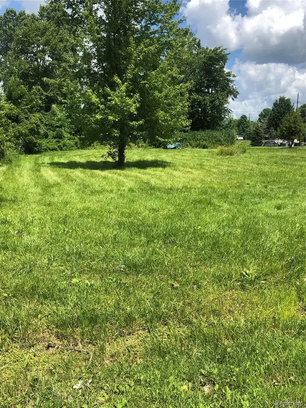 1 HAMER, NewBaltimore, MI 48047