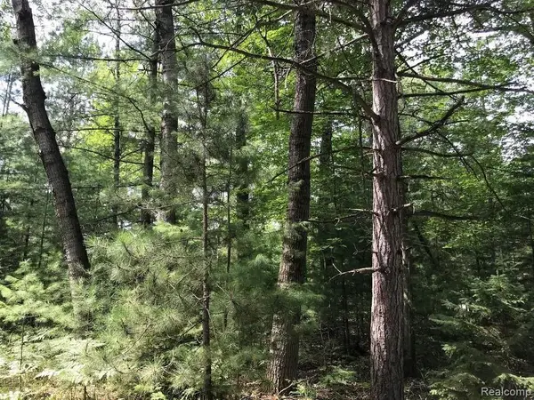 0 Racoon Trail, Lincoln, MI 48742