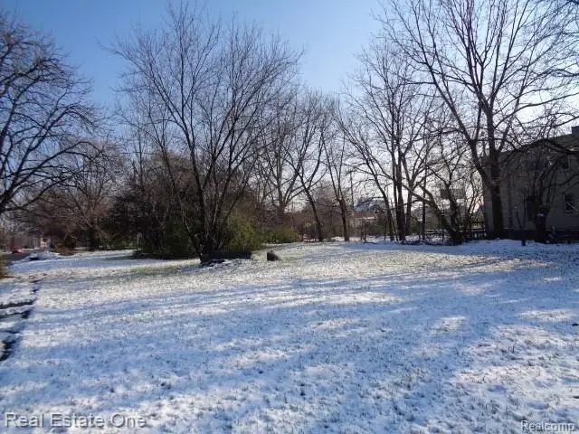 2738 ROSA PARKS BLVD, Detroit, MI 48216 - Image #3