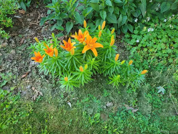 4017 BEAUFAIT, Detroit, MI 48207