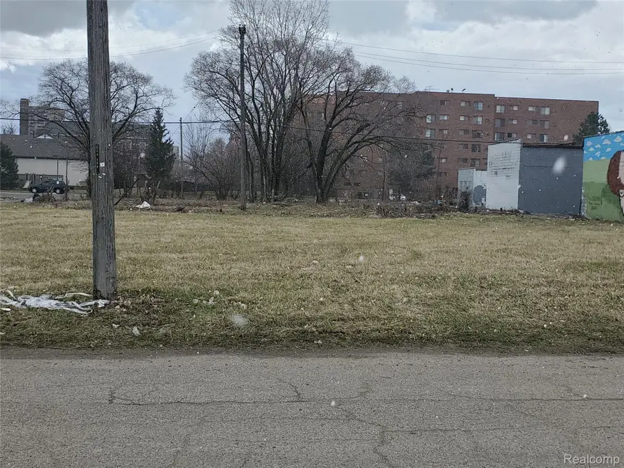 2138 HENDRICKS, Detroit, MI 48207 - Image #3