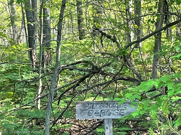 141 Garland Woods LN, Lewiston, MI 49756