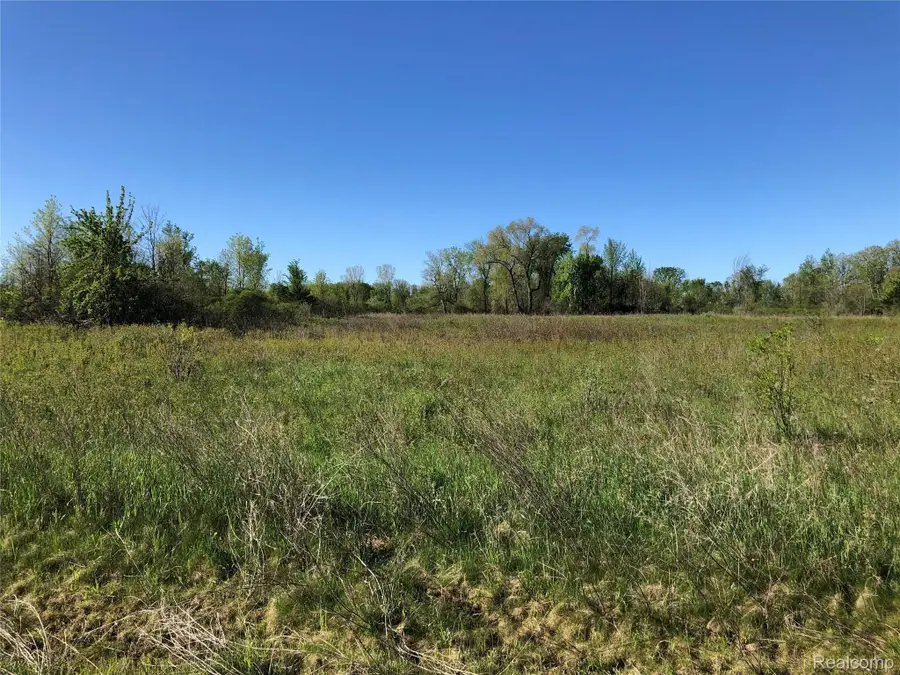 Parcel G IMLAY CITY RD, Imlay City, MI 48444 - Image #3