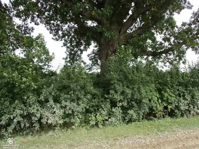 00 Cryderman Rd. Parcel #1, Richmond, MI 48062 - Image #2