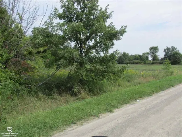 00 Cryderman Rd. Parcel #1, Richmond, MI 48062 - Image #3