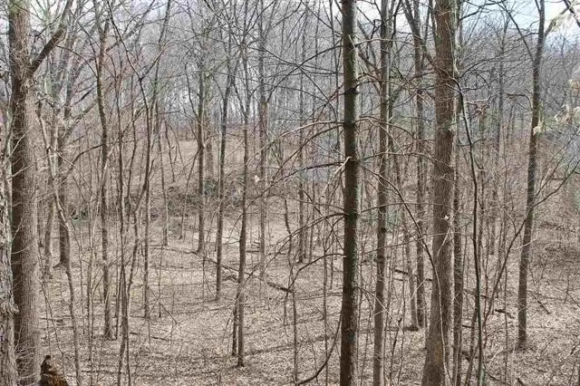 Havana V/L RD, Oakley, MI 48649 - Image #2