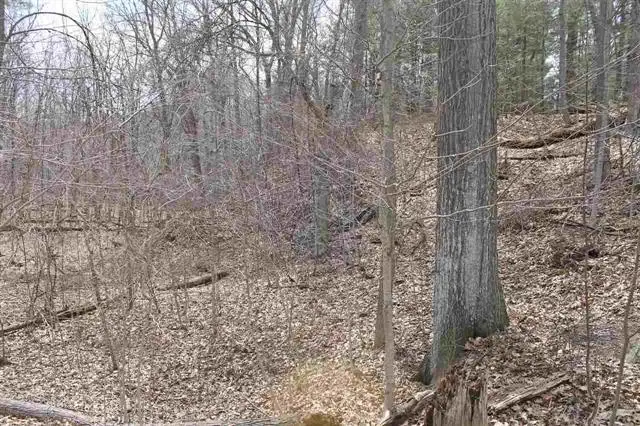 Havana V/L RD, Oakley, MI 48649 - Image #3