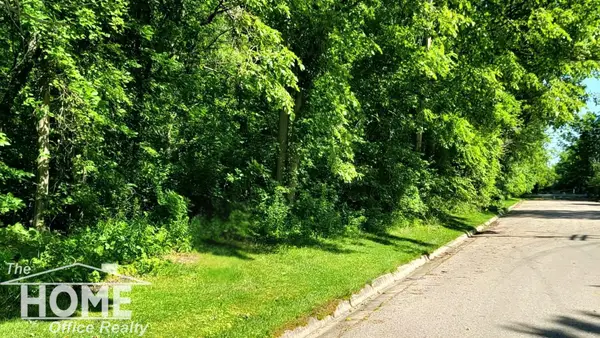 Vac N Brookfield ST, Durand, MI 48429