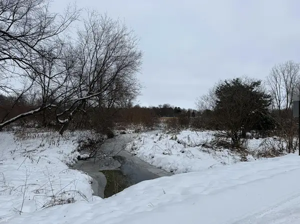 Vacant Land Tyrrell RD, Morrice, MI 48857