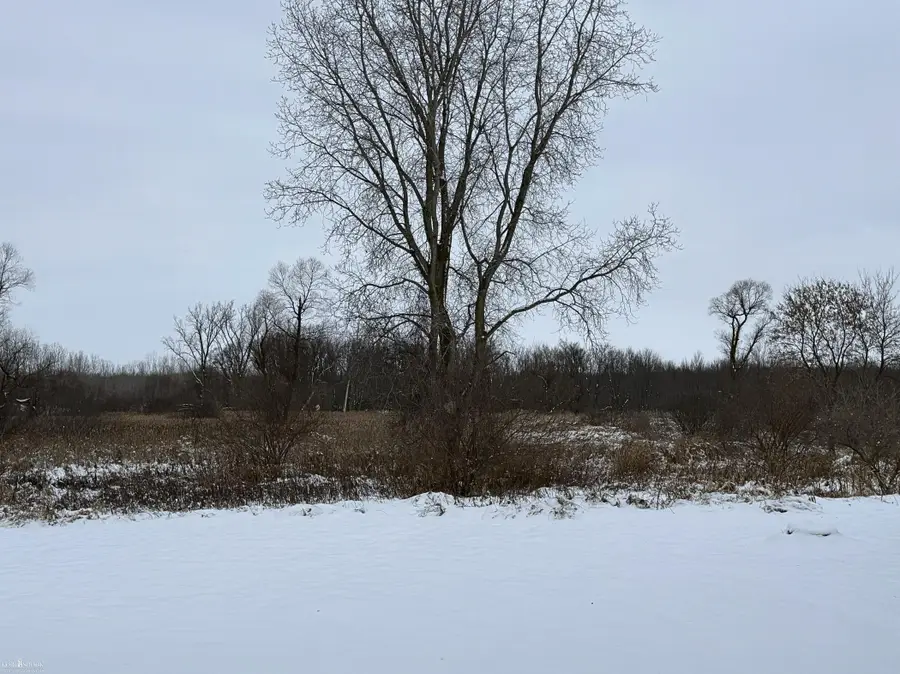 Vacant Land Tyrrell RD, Morrice, MI 48857 - Image #3