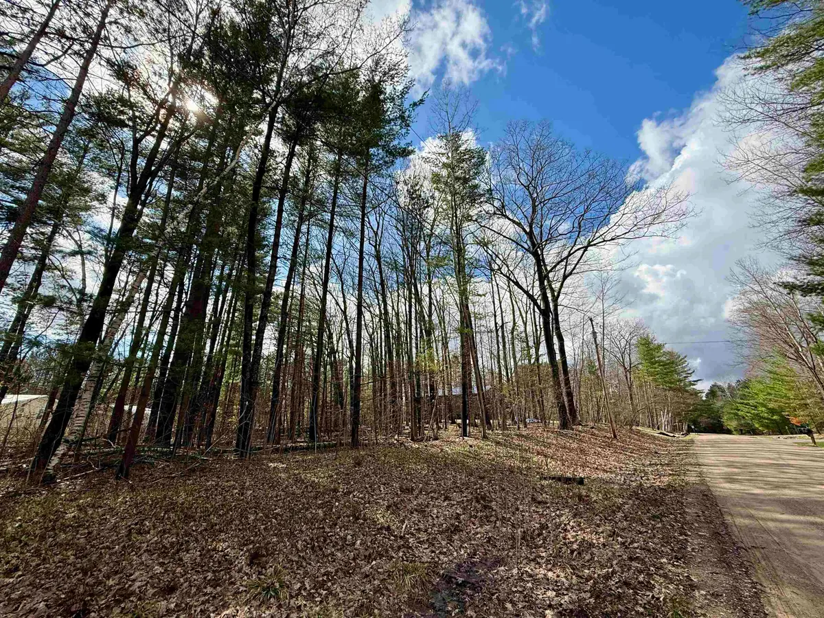 Wildwood DR, Gladwin, MI 48624 - #1
