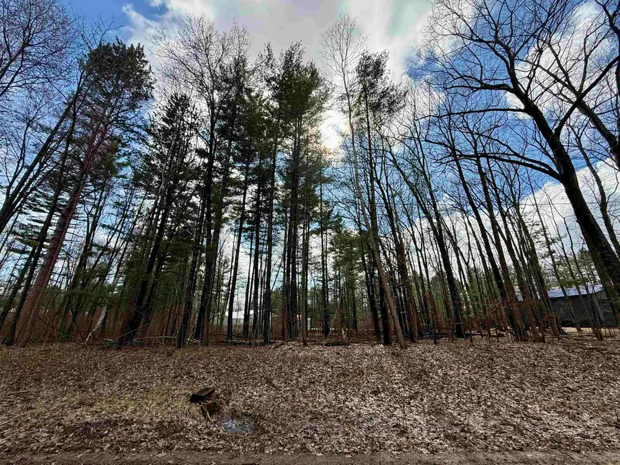 Wildwood DR, Gladwin, MI 48624 - #2