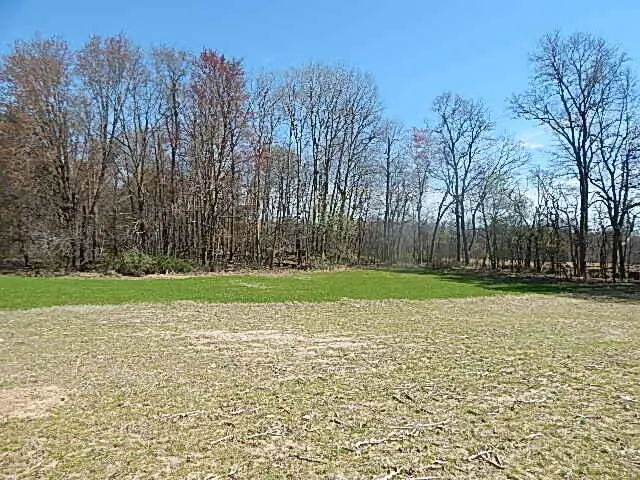 9999 N N Dr S S, Burlington, MI 49029 - Image #2