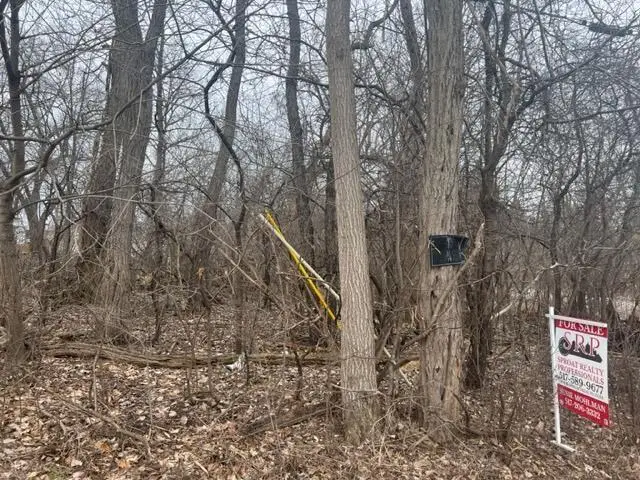 0 Evelyn Street, Jackson, MI 49203 - Image #1